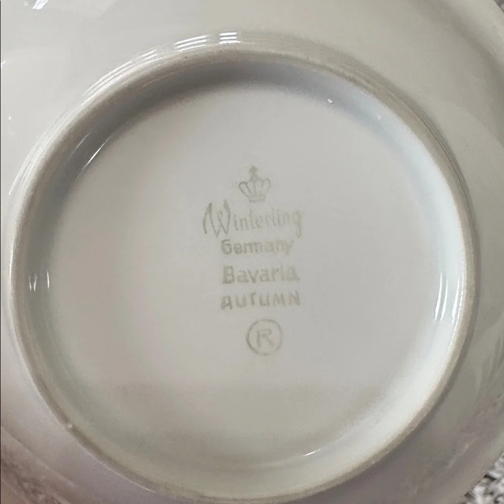 Winterling Bavaria‎ Germany Autumn Leaves Set of 4 Fruit Dessert Bowls 5.5